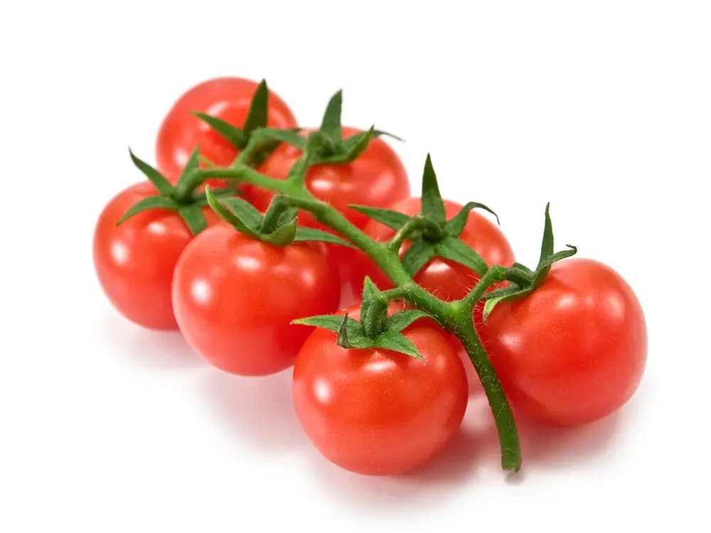 Domates Kokteyl Çeri Kg