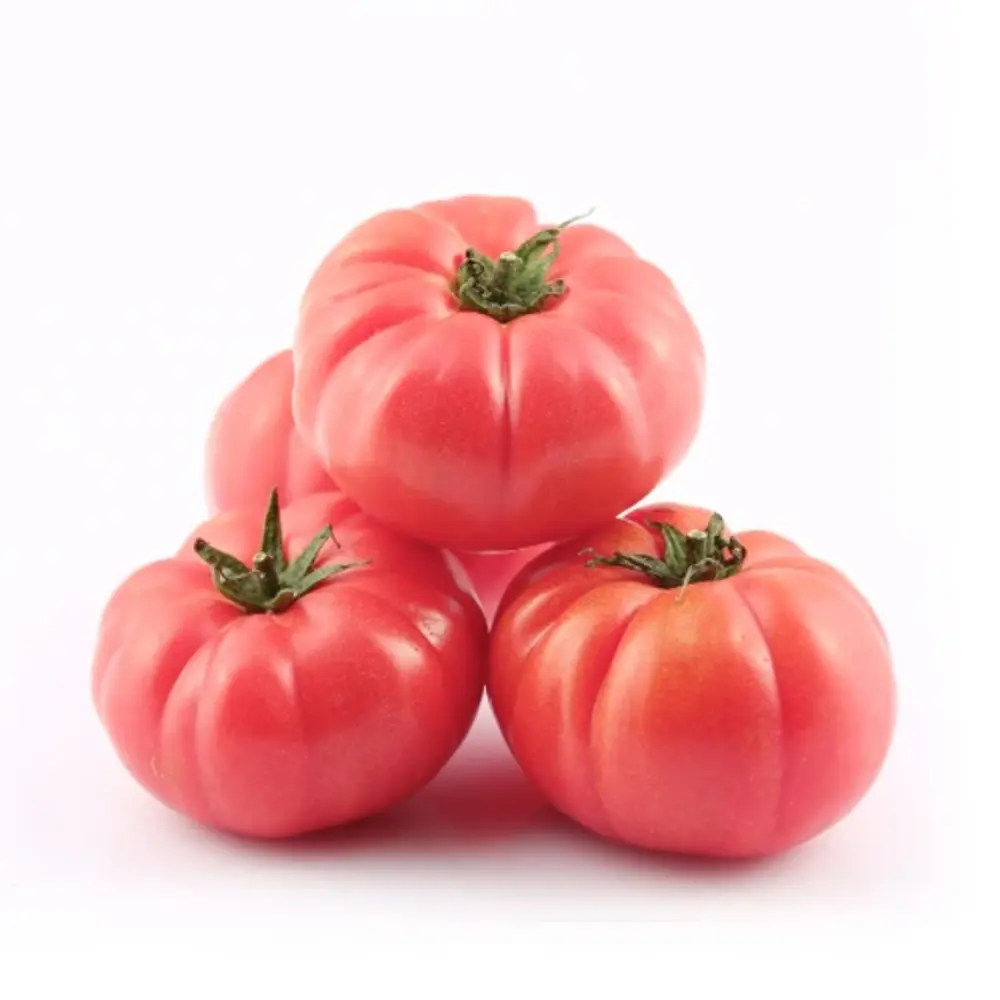 Domates Pembe Kg