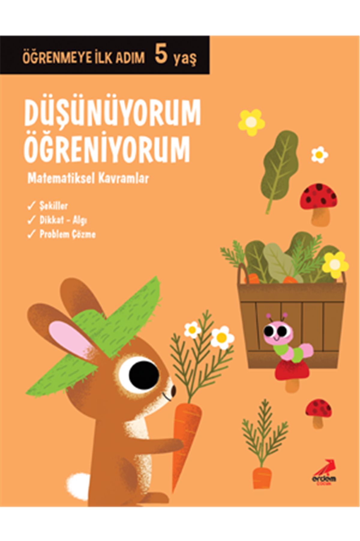Düşünüyorum Öğreniyorum 5 Yaş