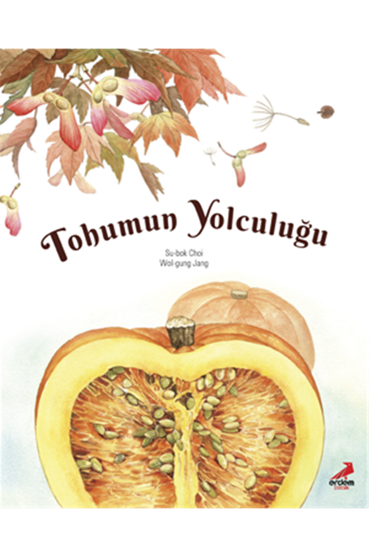Tohumun Yolculuğu