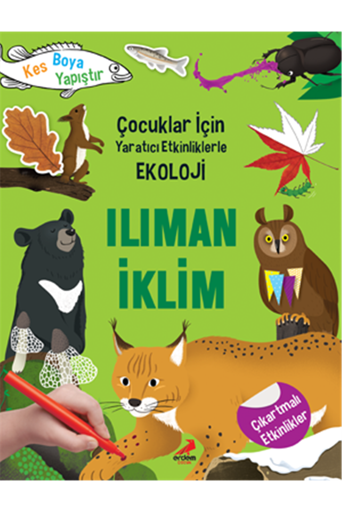 Ilıman İklim