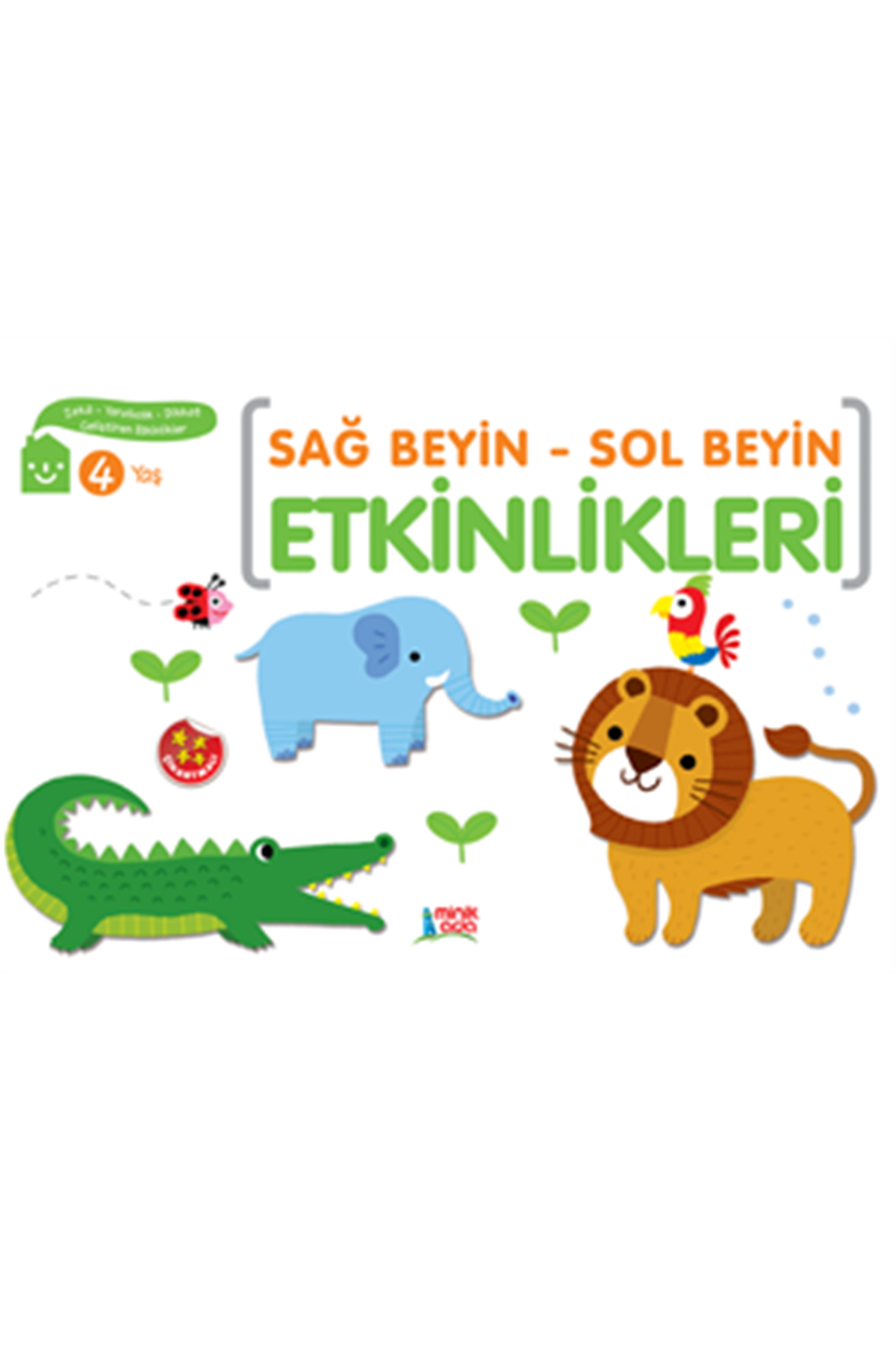 Sağ Sol Beyin Etkinlikleri 4 Yaş