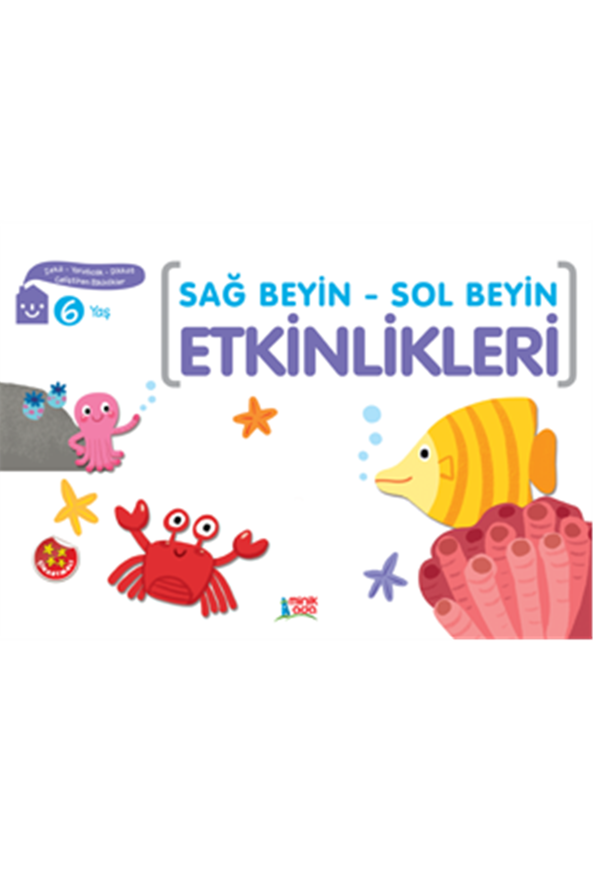 Sağ Sol Beyin Etkinlikleri 6 Yaş