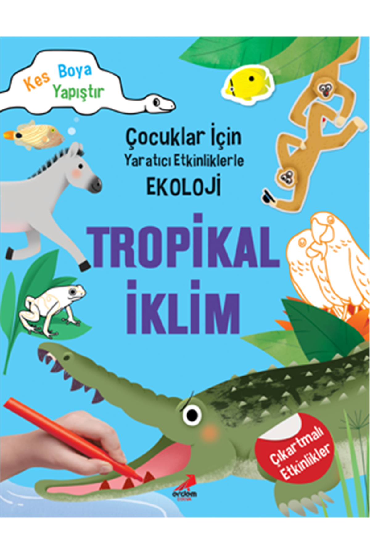 Tropikal İklim