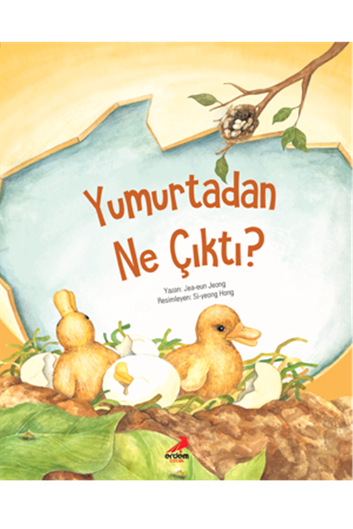 Yumurtadan Ne Çıktı