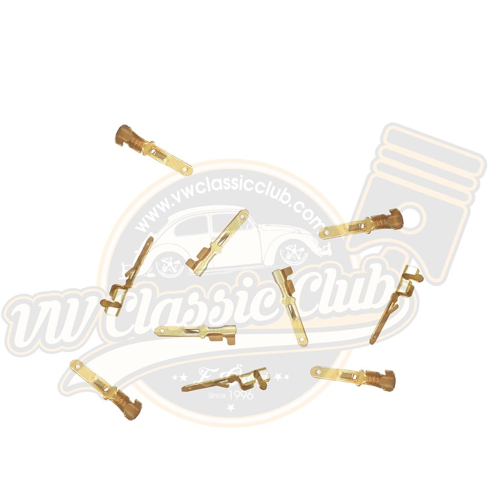 İnce Fiş Erkek (10'lu)