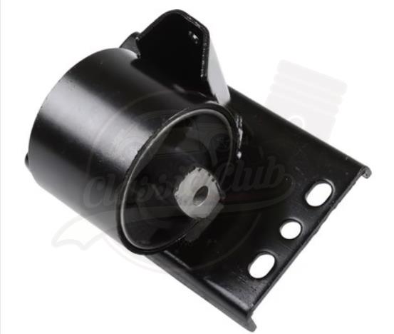 Şanzıman Kulağı (T3)