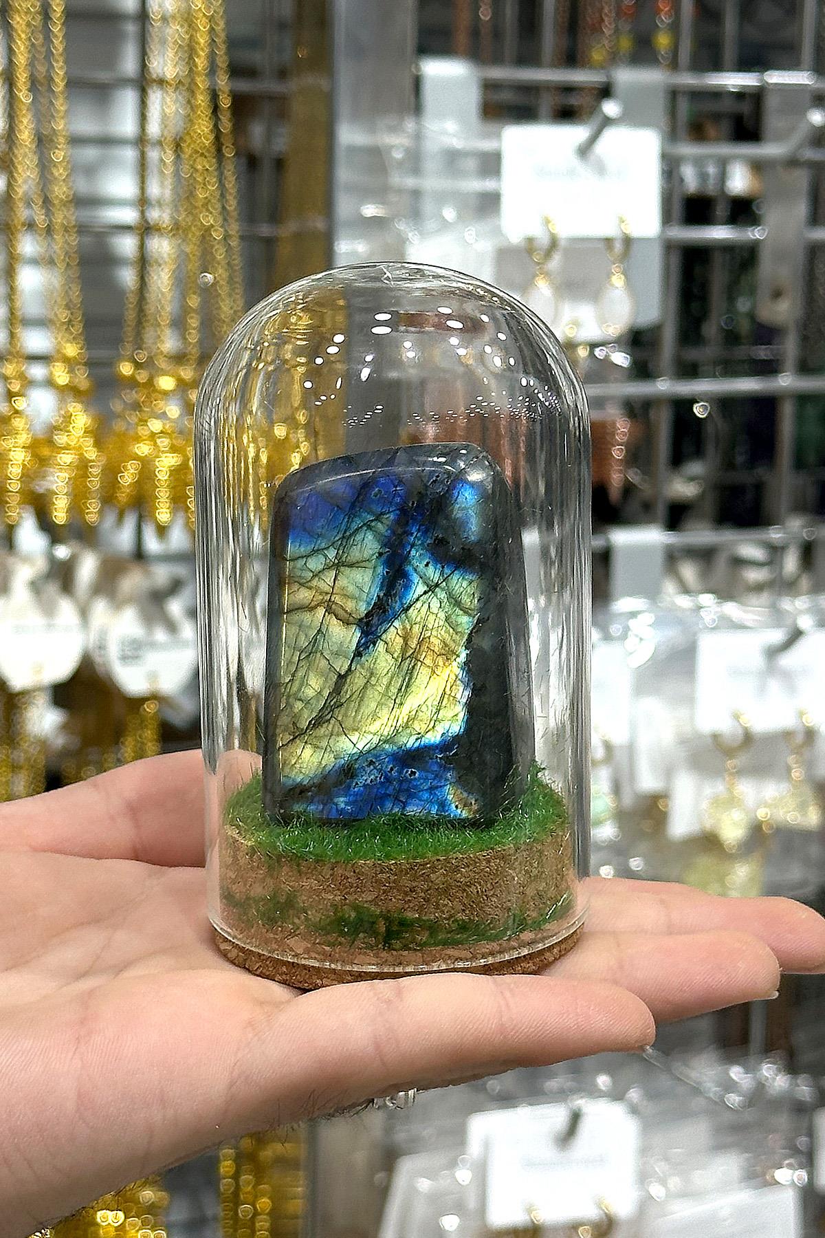 Labradorit Taşı Cam Fanus