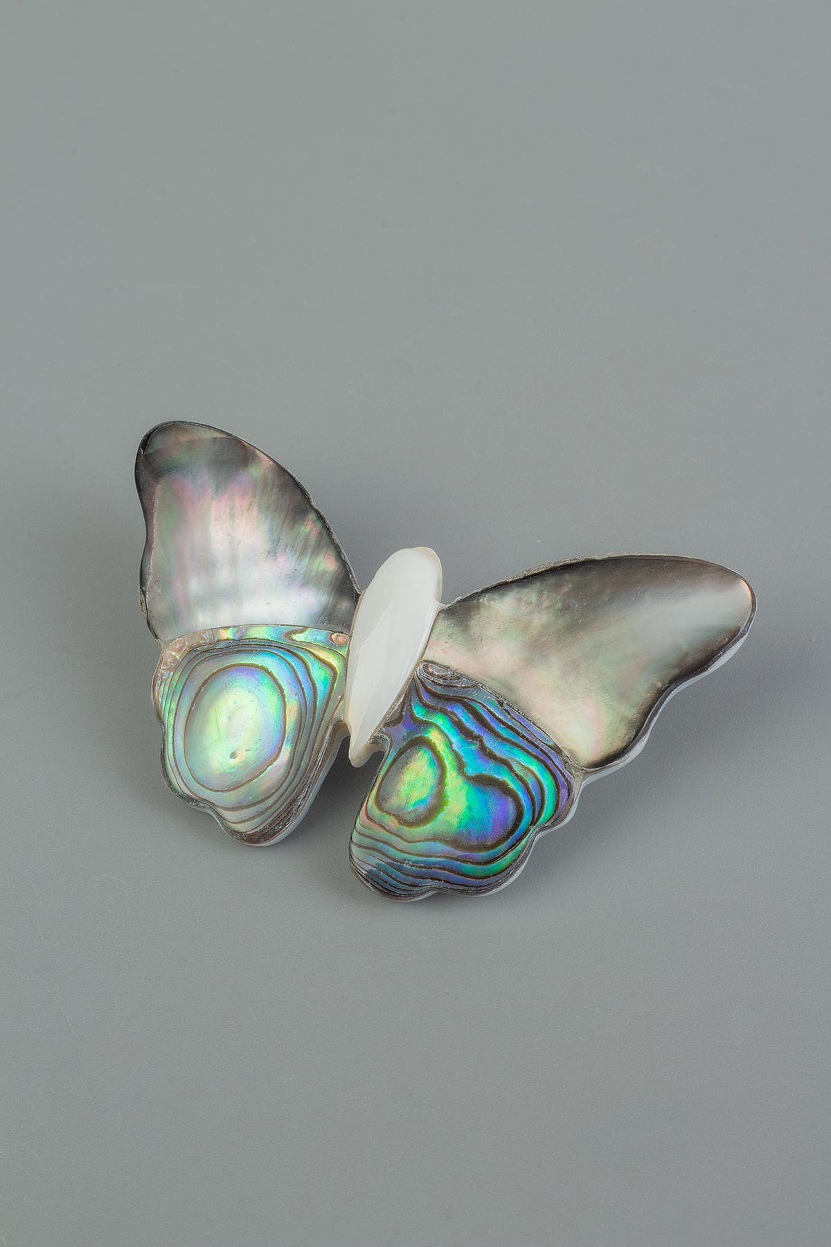 Paua Doğal Taş Kelebek Broş