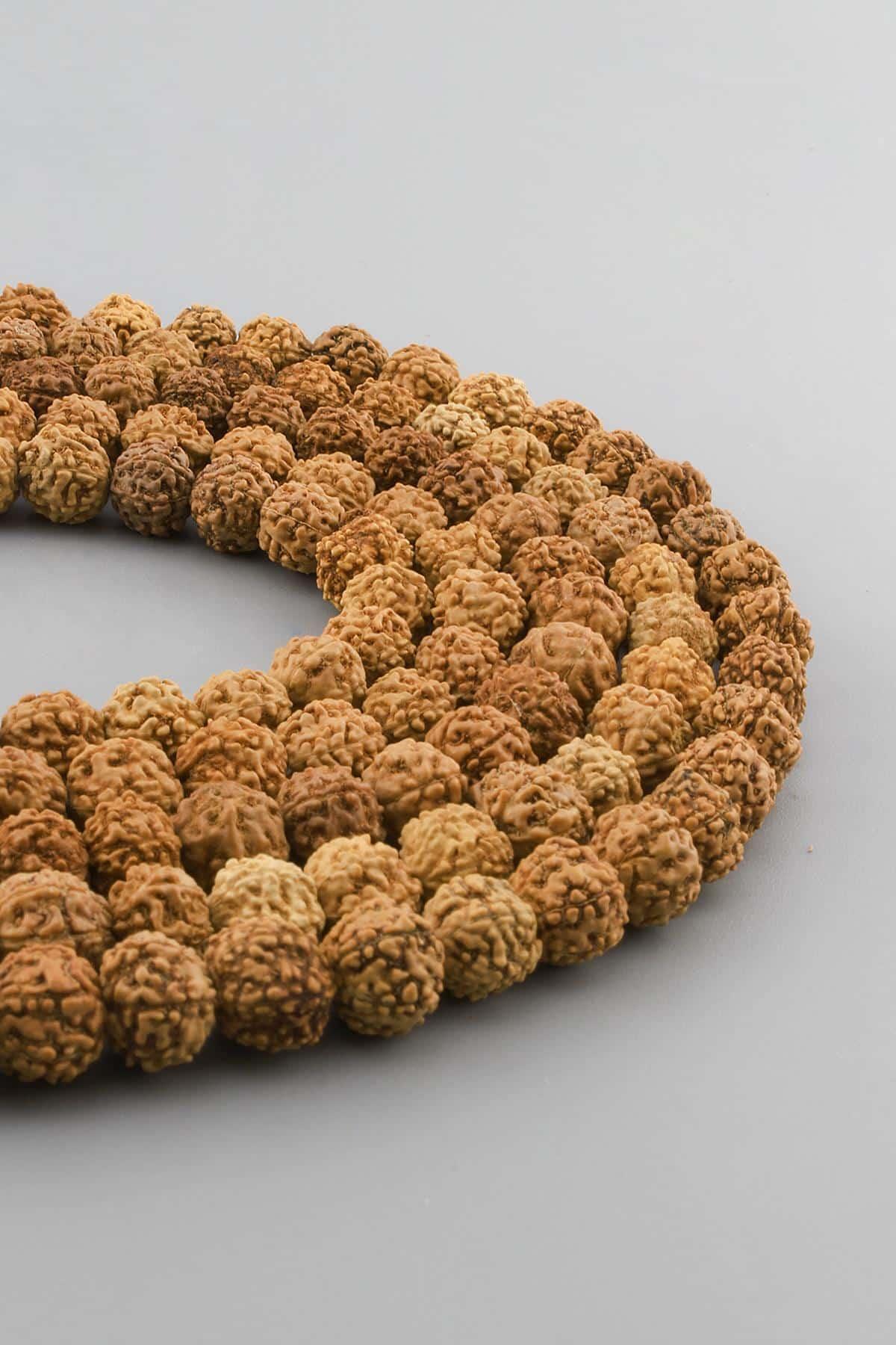 Rudraksha Doğal Taş Parlak Küre Kesim 8x10mm Dizi [AA]