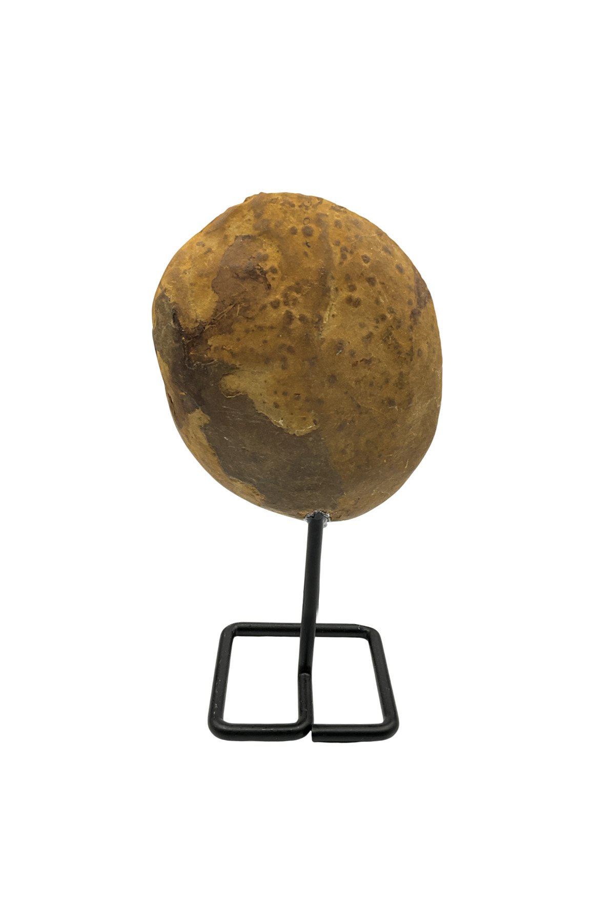 Septeryan Taşı Ham Kütle 16x8 cm Dekoratif Obje - 272 Gram