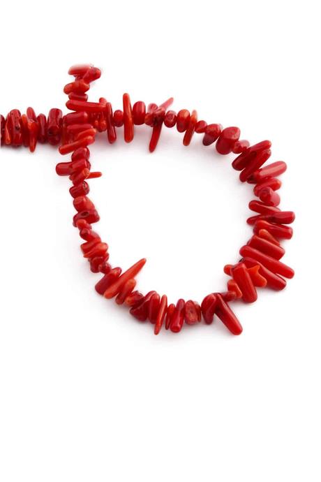 Dal Mercan Taşı Parlak Kırmızı Doğal Taş Dizi