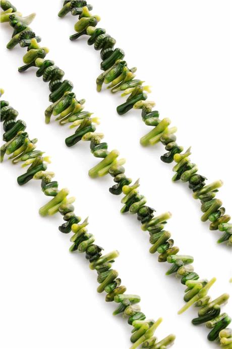 Dal Mercan Taşı Parlak Koyu Yeşil Doğal Taş Dizi [AA]