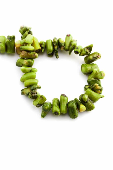 Branch Coral Natural Stone Green Orta Amorphous Cut String Of Beads