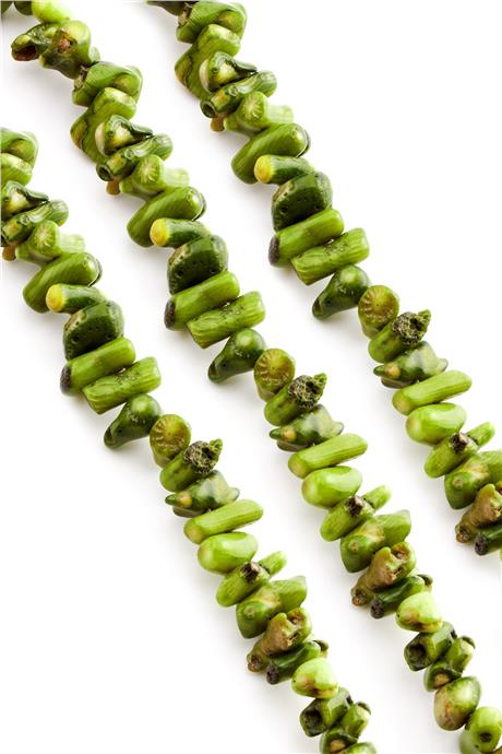 Branch Coral Natural Stone Green Orta Amorphous Cut String Of Beads