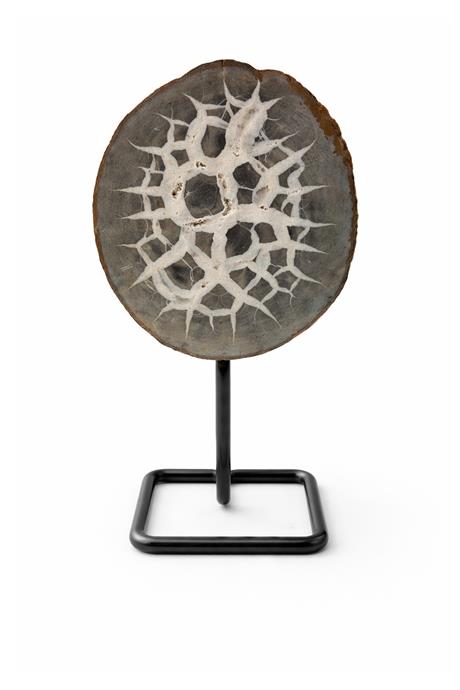 Septeryan Taşı Ham Kütle 16x9 cm Dekoratif Obje - 378 Gram