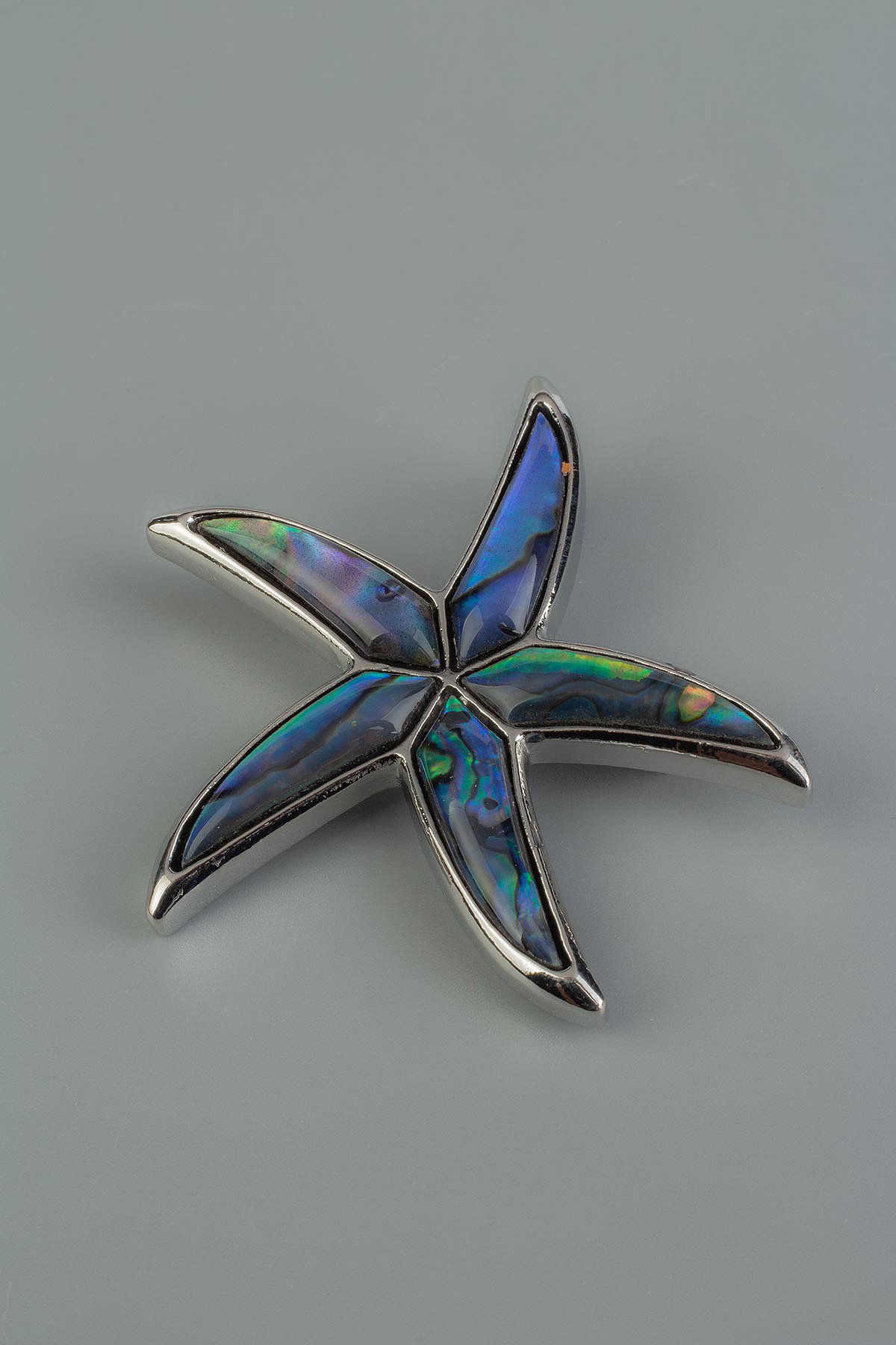 Paua Doğal Taş Deniz Yıldızı Broş