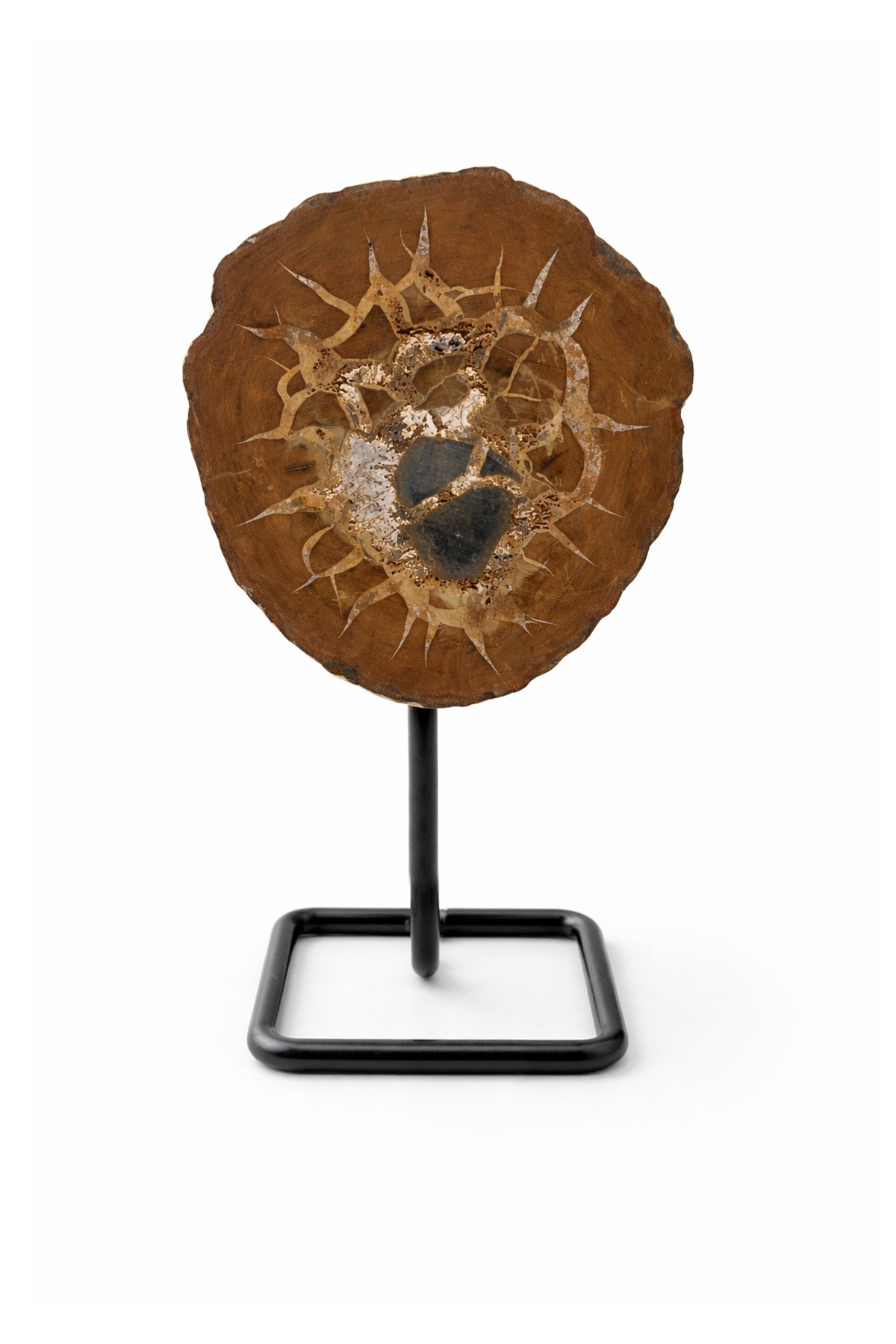 Septeryan Taşı Ham Kütle 15x8 cm Dekoratif Obje - 285 Gram