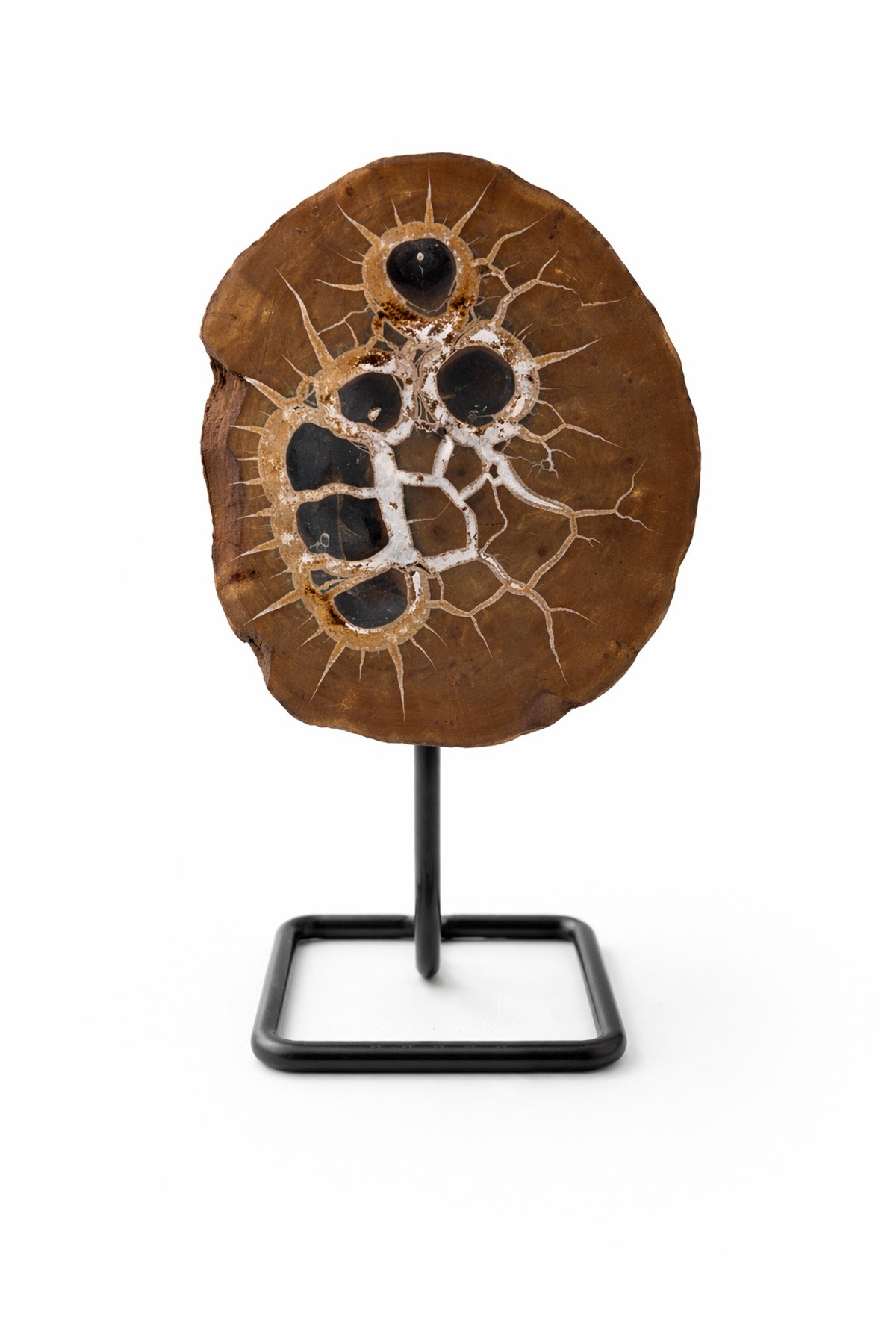 Septeryan Taşı Ham Kütle 16x8 cm Dekoratif Obje - 288 Gram