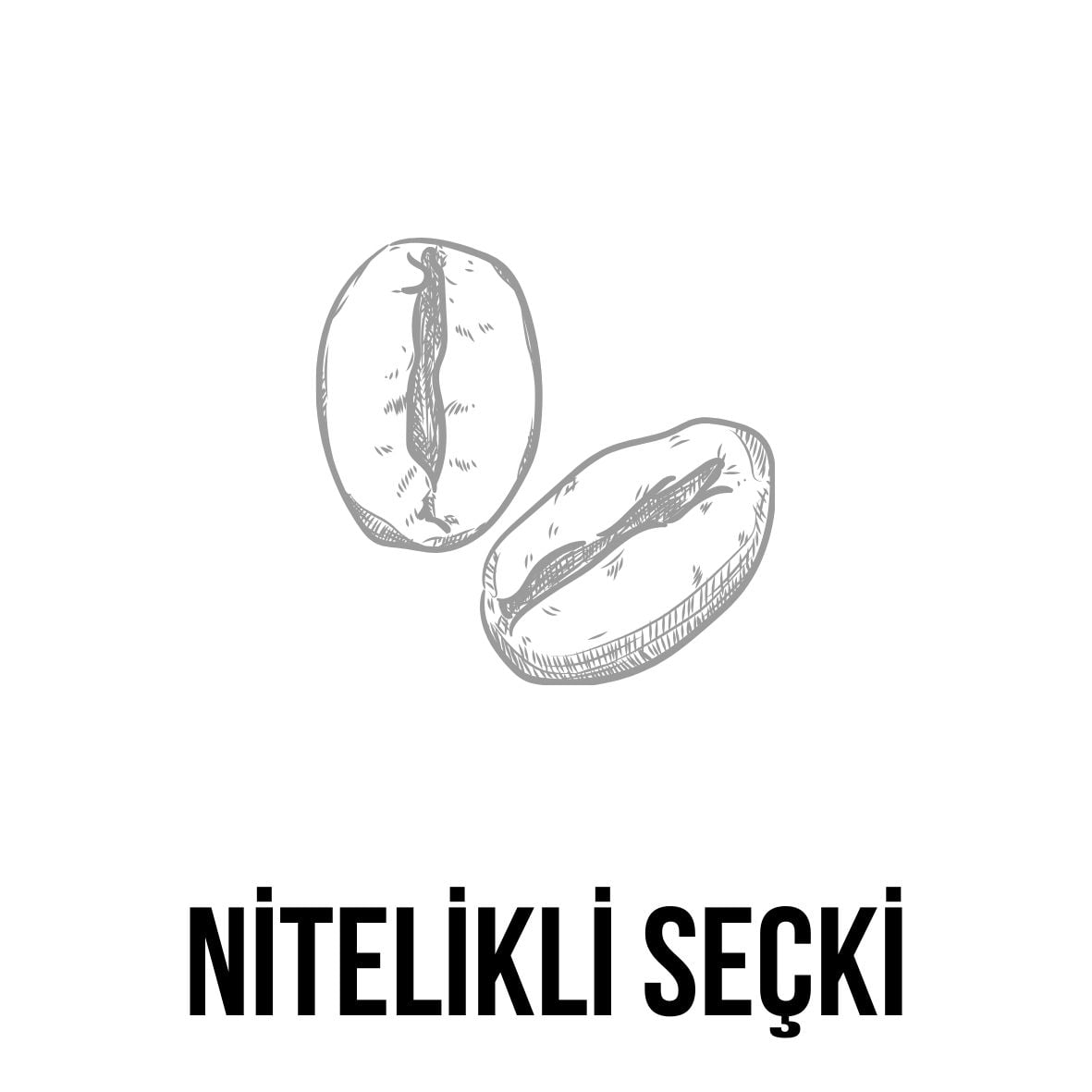 Kaliteli Hammadde Tedariği