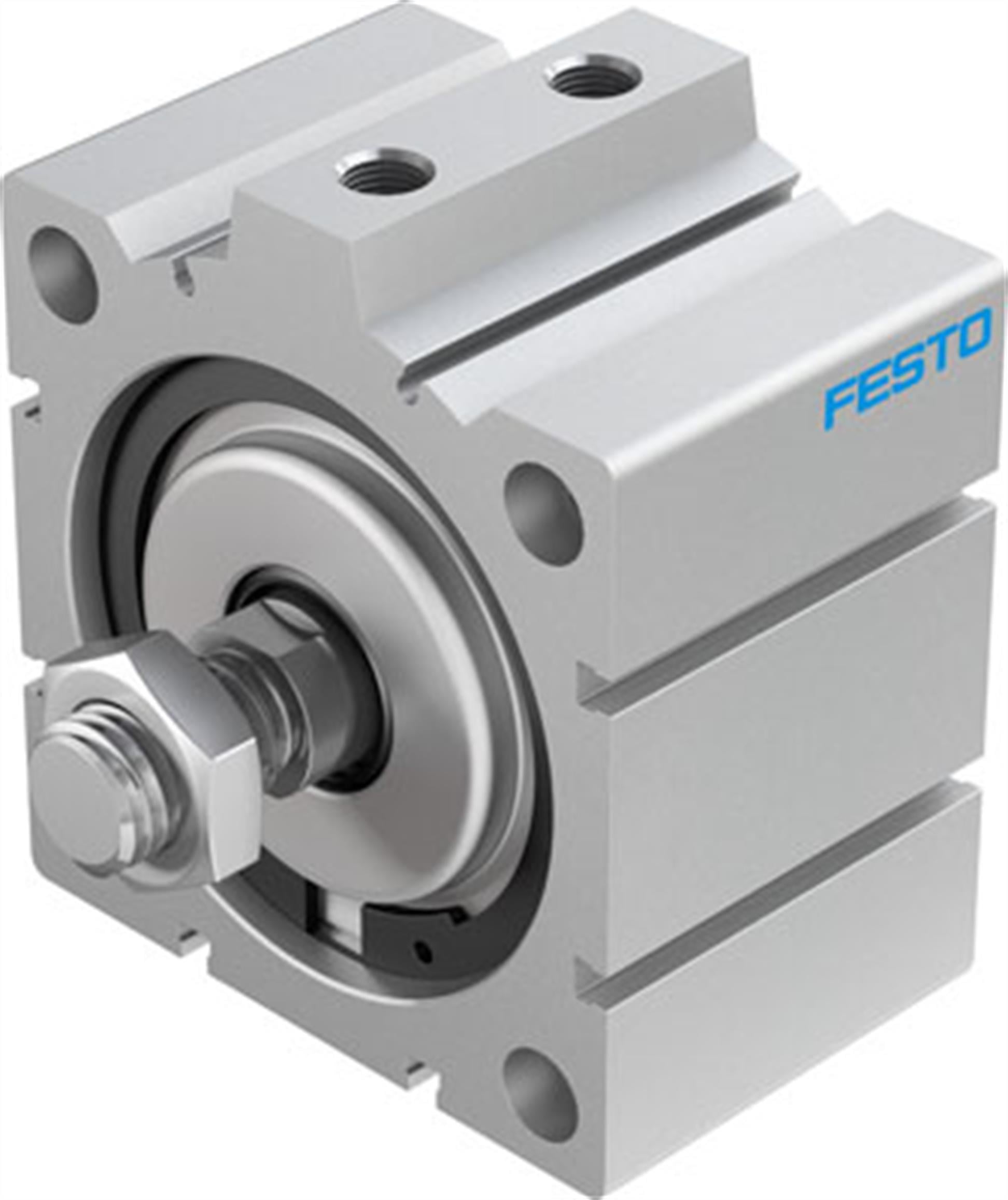 festo-advc-100-25-a-p-kisa-stroklu-sil-b1cb13.jpg