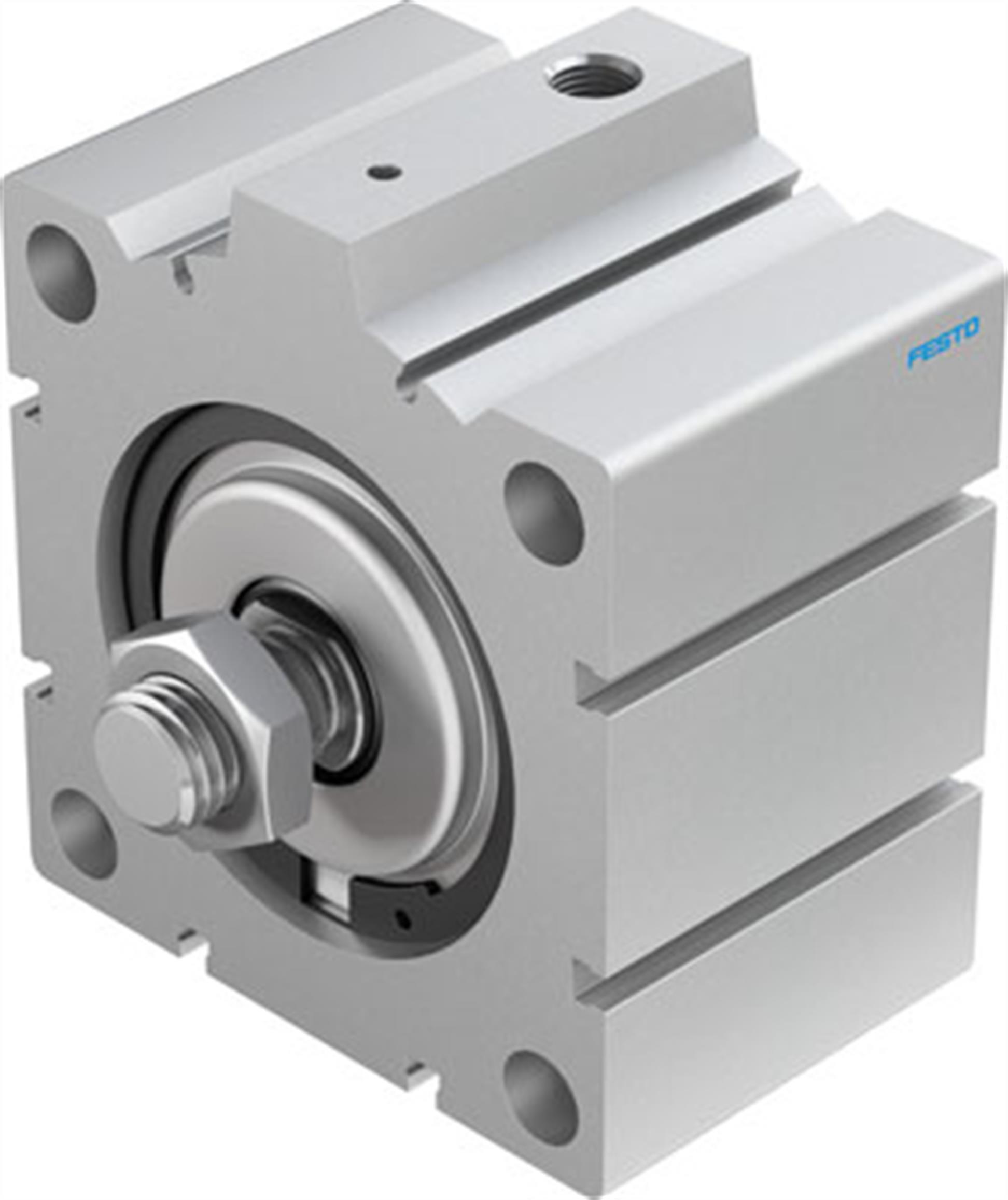 festo-aevc-100-25-a-p-kisa-stroklu-sil-53d4-c.jpg
