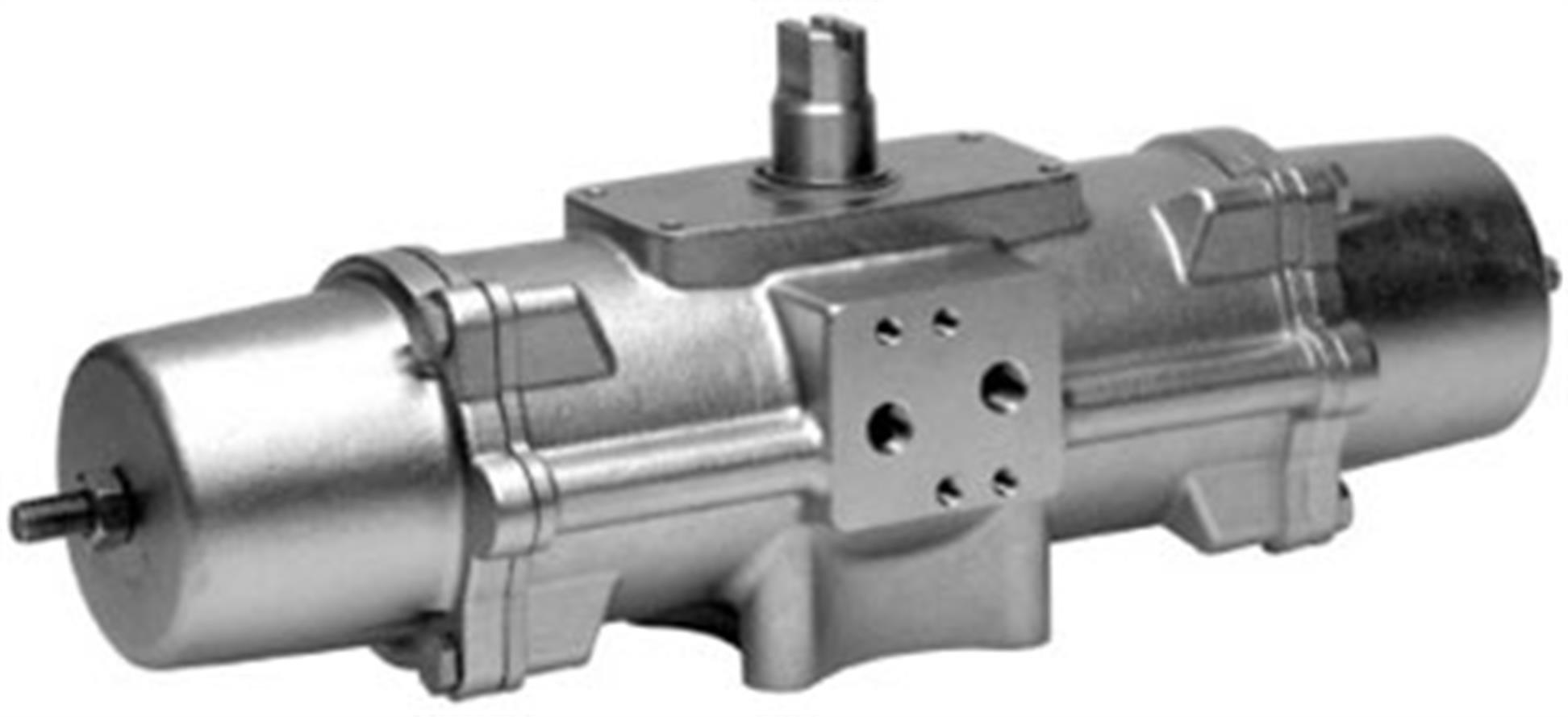 festo-daps-0120-090-rs2-f0507-cr-doner-7c3f-9.jpg