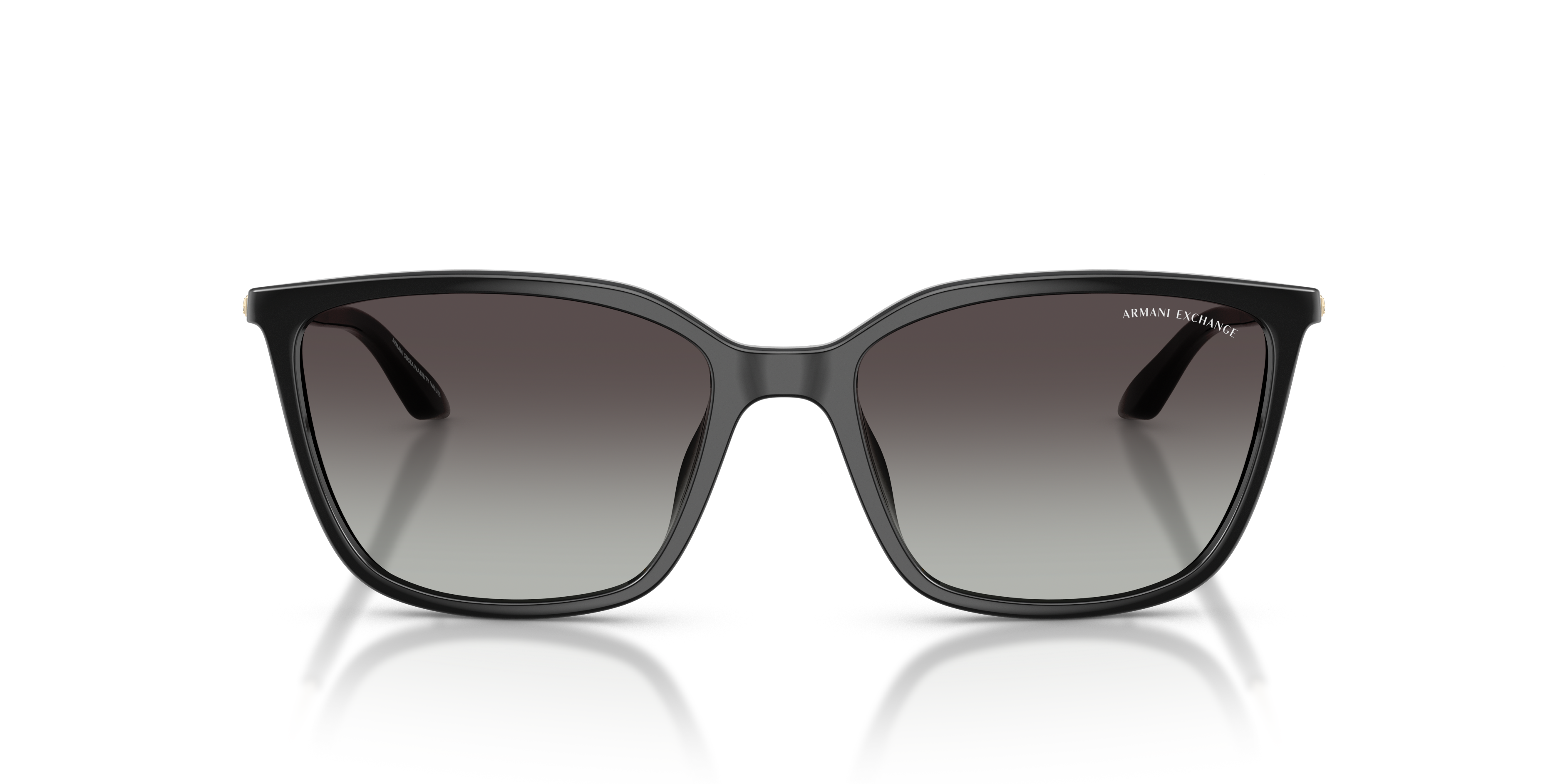 Armani Exchange AX4171SU 81588G Güneş Gözlüğü