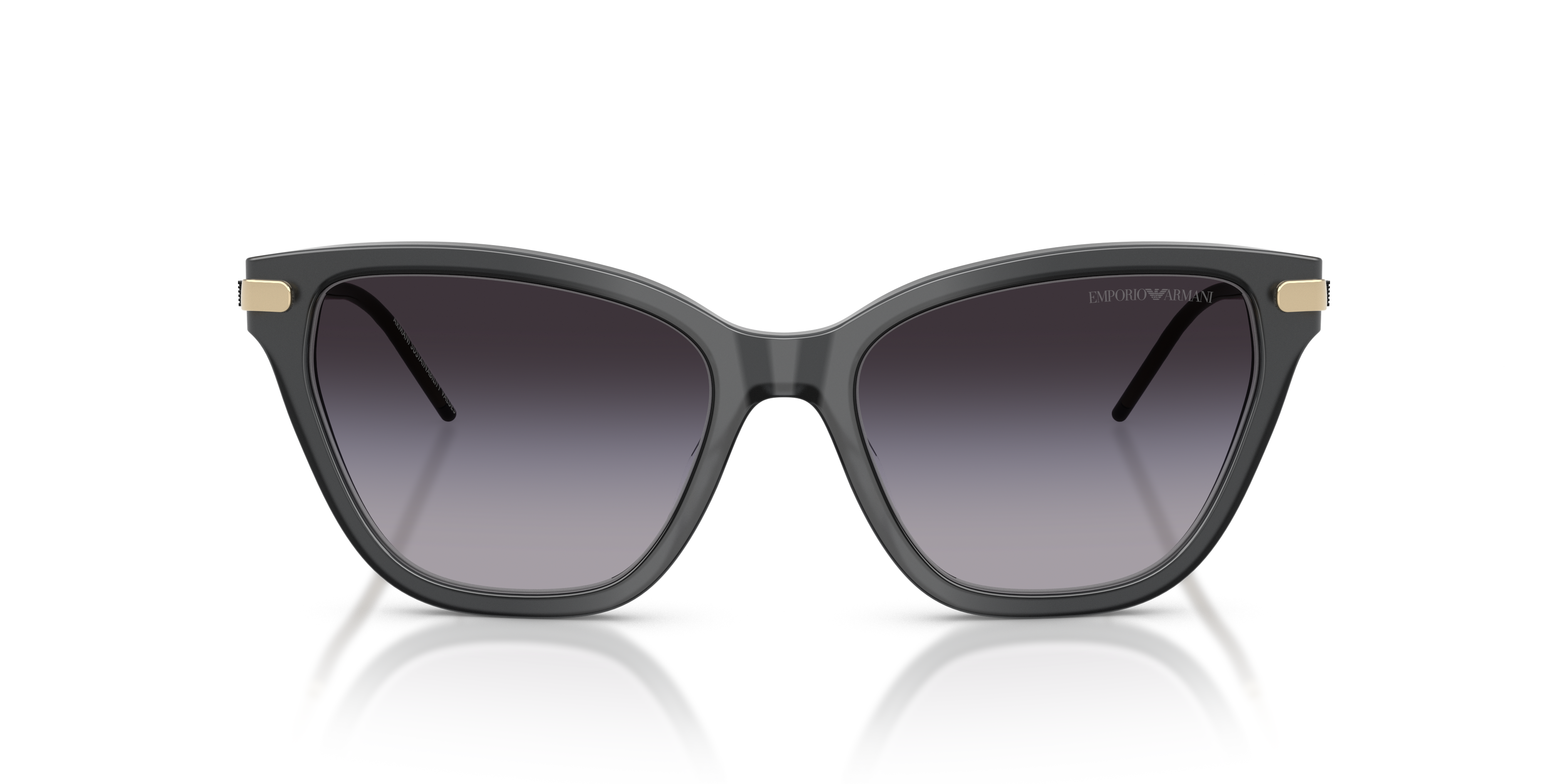 Emporio Armani EA4251 62628G 54 Güneş Gözlüğü 