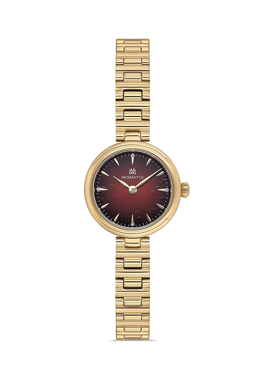 Momentus CW313G-14SG Kol Saati