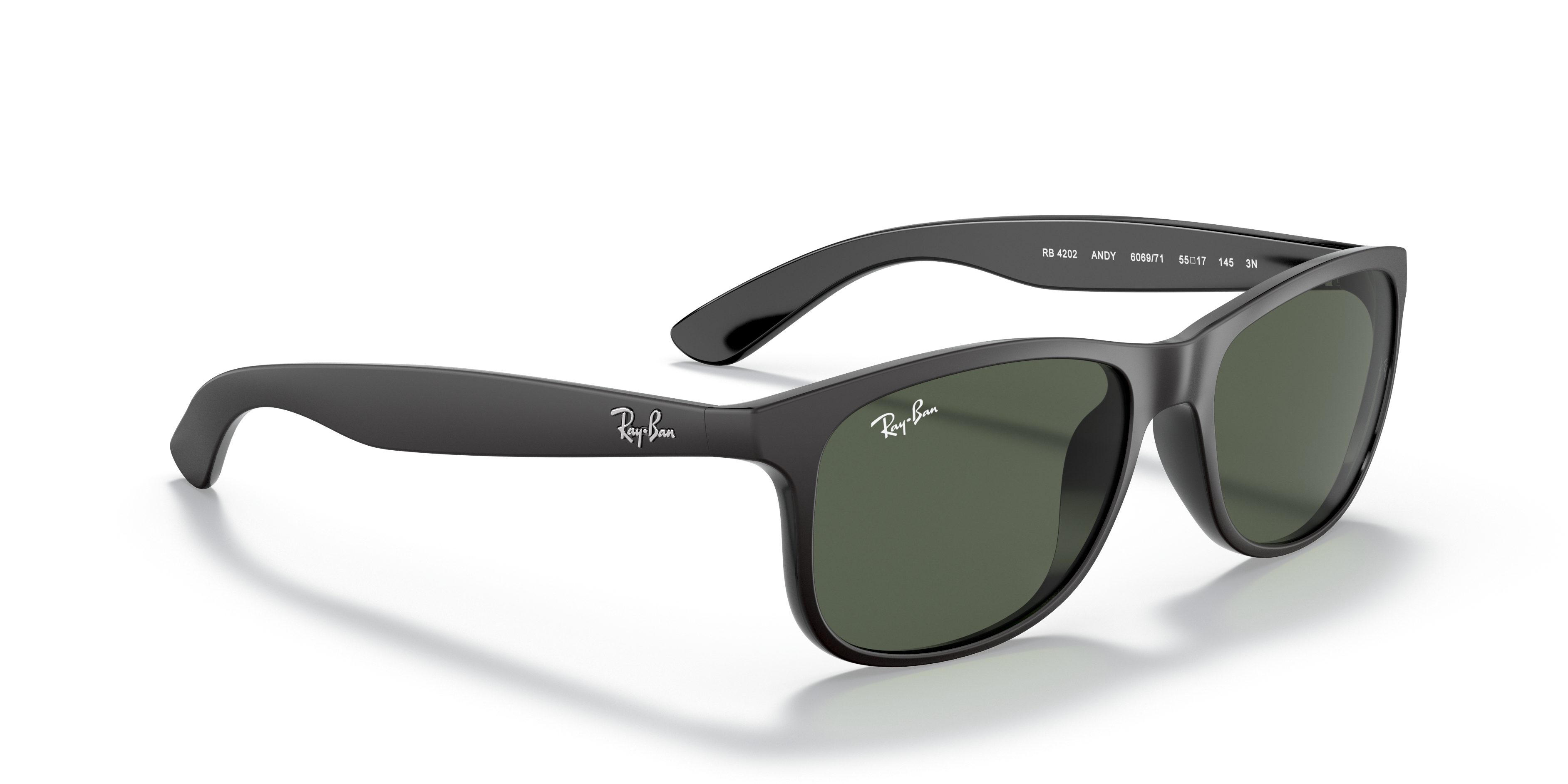 Ray-Ban RB4202 606971 55 Güneş Gözlüğü