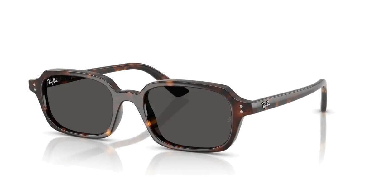 Ray-Ban RB4455 135987 Güneş Gözlüğü