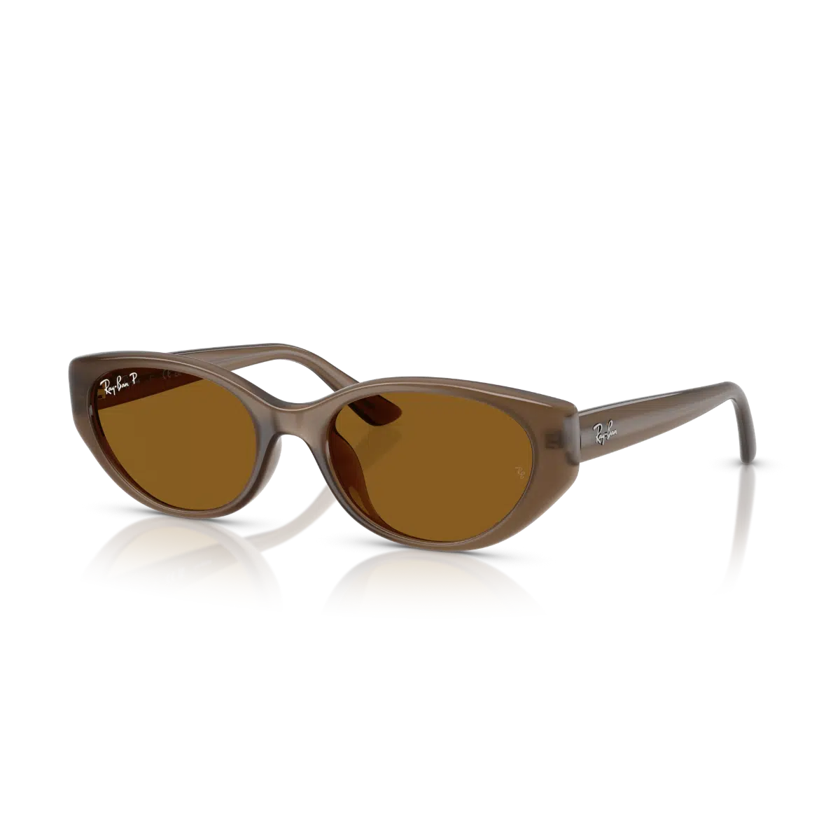 Ray-Ban RB4457D 677983 Güneş Gözlüğü