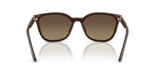 Armani Exchange AX4168SU 8402T5 Güneş Gözlüğü