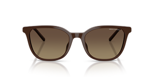 Armani Exchange AX4168SU 8402T5 Güneş Gözlüğü