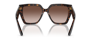 Dolce & Gabbana DG4438 502/13 Güneş Gözlüğü