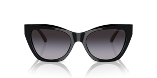 Emporio Armani EA4176 50178G 54 Güneş Gözlüğü