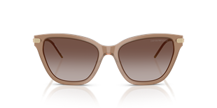Emporio Armani EA4251 626313 54 Güneş Gözlüğü 