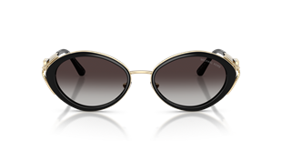 Michael Kors MK1179 30058G 53 Güneş Gözlüğü