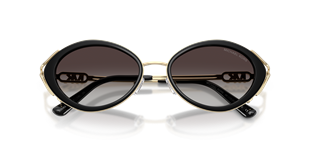 Michael Kors MK1179 30058G 53 Güneş Gözlüğü