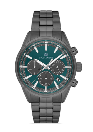Momentus CC306N-15SS Kol Saati