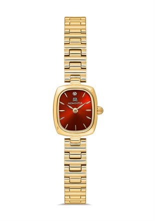 Momentus CW317G-14SG Kol Saati