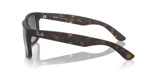 Ray-Ban RB4165 865/8S Güneş Gözlüğü