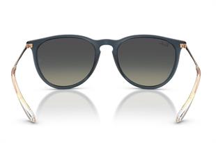 Ray-Ban RB4171 681311 Güneş Gözlüğü