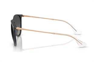 Ray-Ban RB4171 681311 Güneş Gözlüğü