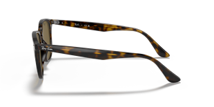 Ray-Ban RB4259 710/73 51 Güneş Gözlüğü