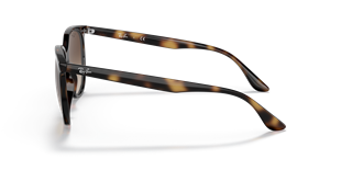 Ray-Ban RB4378 710/13 54 Güneş Gözlüğü