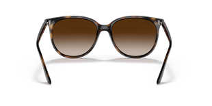 Ray-Ban RB4378 710/13 54 Güneş Gözlüğü