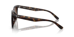 Ray-Ban RB4420 710/13 65 Güneş Gözlüğü