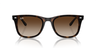 Ray-Ban RB4420 710/13 65 Güneş Gözlüğü